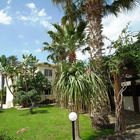 Olea Mediterranean Luxury With 14m Private Pool- 300m From Faros *