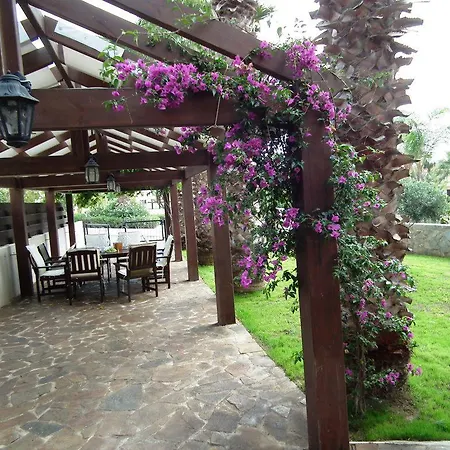 Olea Mediterranean Luxury Villa With 14M Private Pool- 300M From Faros Beach