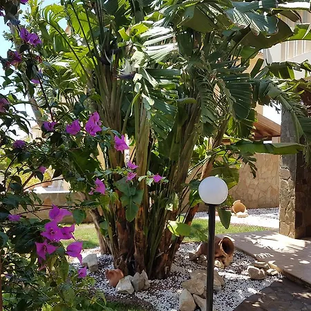 Olea Mediterranean Luxury Villa With 14M Private Pool- 300M From Faros Beach Villa *